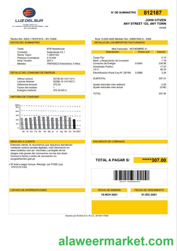Peru Luz de Sur utility bill template in Word and PDF format, fully editable